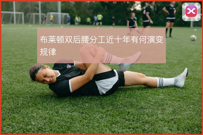 布莱顿双后腰分工近十年有何演变规律